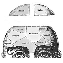 Mad in America Author Page